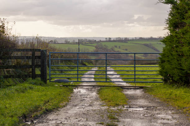 A locked gate across a track leading to farm field