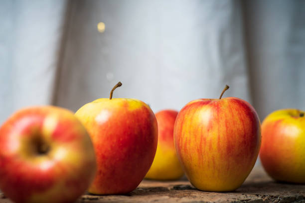Organic yellow and orange apples on a table closeup