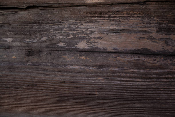 istock Texture of brown and grey old wood 1300997697