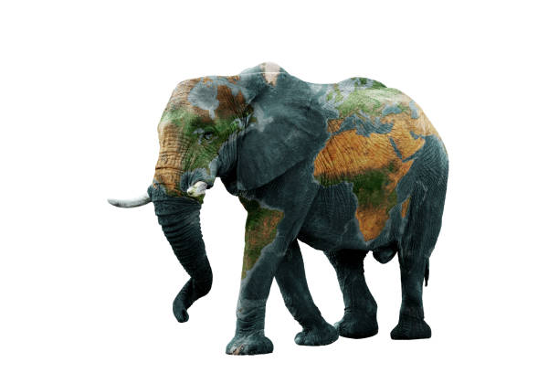 istock Isolated image of elephant with earth painted on skin. 1300998598