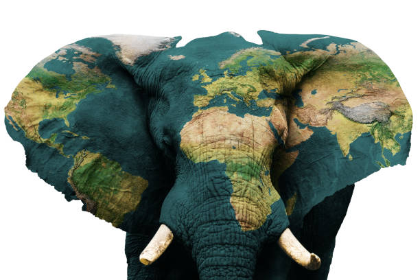 istock Isolated image of elephant with earth painted on skin. 1300998602