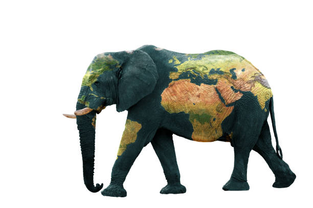 istock Isolated image of elephant with earth painted on skin. 1300998606