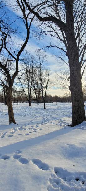 istock Footsteps in the snow 1300998684