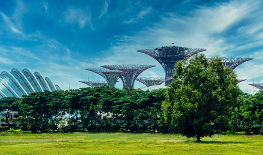 singapore, Singapore - August  05, 2018: The Supertree Grove are the 18 tree-like structures that dominate the Gardens' landscape with heights that range between 25 metres and 50 metres..