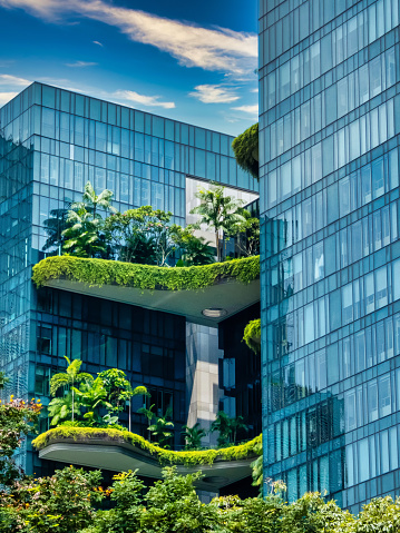 Singapore, Singapore - August  05, 2018:  Parkroyal is a luxury hotel located in the Central Area of Singapore, More than 15.000 square meters of lush vegetation are part of this building. This is part of the growing trend to build more sustainable buildings that have less impact on the environment.