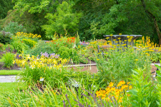 istock Botanical garden flowerbeds 1301001000