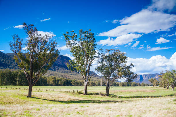 istock Hunter Valley Landscape in Australia 1301001984