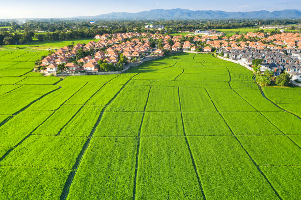 istock Land plot, green field and house in aerial view. 1301003705
