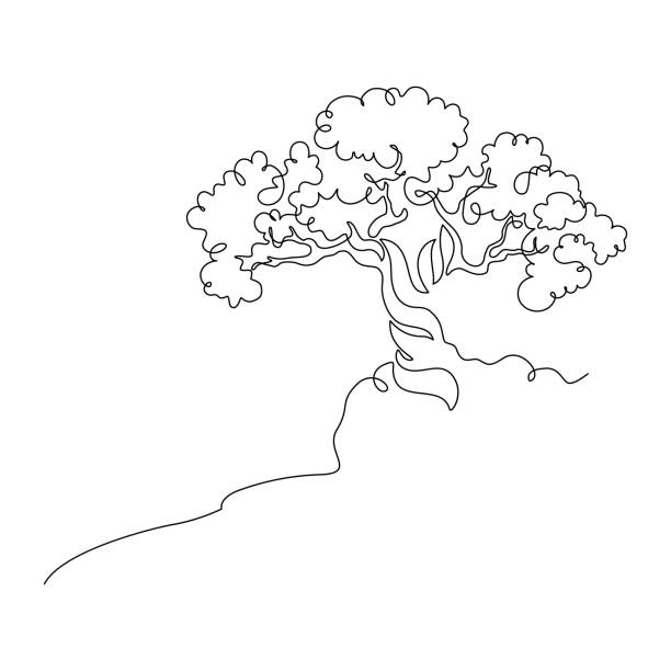 illustrations, cliparts, dessins animés et icônes de arbre sur la pente rocheuse - bonsaï