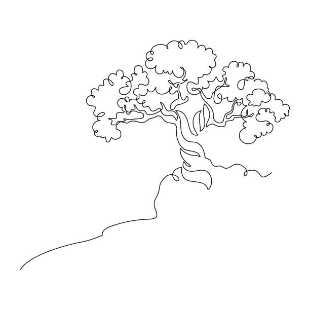 ภาพประกอบสต็อกที่เกี่ยวกับ “ต้นไม้บนทางลาดหิน - bonsai tree”