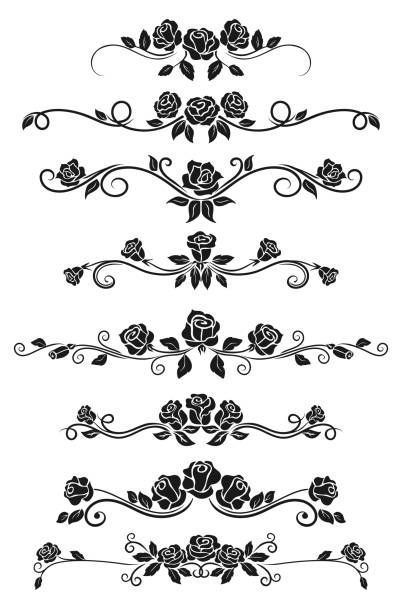 illustrazioni stock, clip art, cartoni animati e icone di tendenza di divisori e linee di bordo del telaio con rose nere - calligraphy growth scroll shape scroll