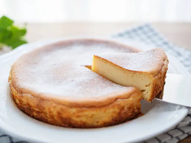 Homemade cheese cake on plate