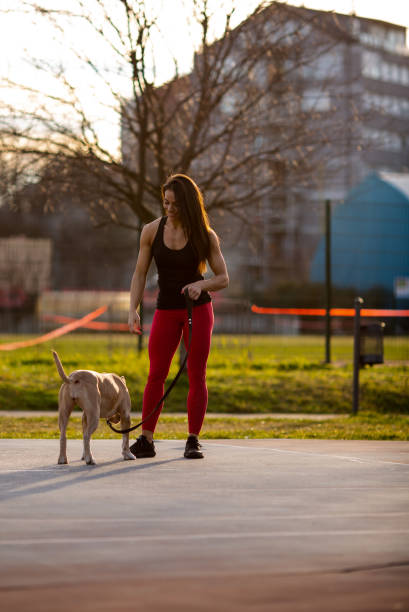 istock Young active girl is walking her dog, playing with it. 1301008077