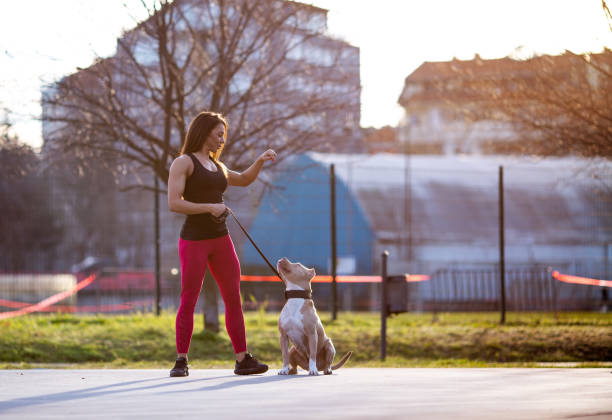 istock Young sportive girl is training her dog. 1301008134