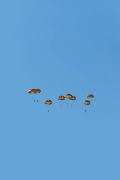 Paratroopers Large group of paratroopers against a clear blue sky above the Ginkelse Heide near Ede in the Netherlands as a memorial for operation market Garden during world war two. The memorial is a yearly free event as part of the world war 2 memorials. operation market garden stock pictures, royalty-free photos & images