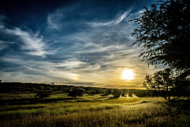 istock Sunrise in Kalahari desert Auob River 1301014168