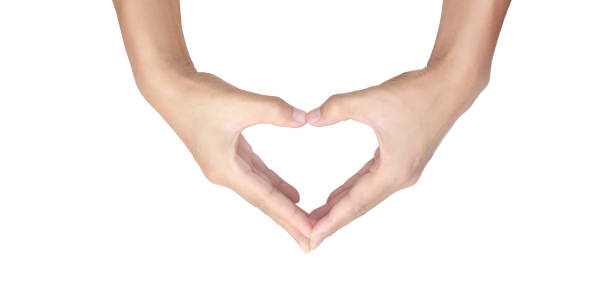 istock Hands making sign Heart isolated. Beautiful hands  with copy space 1301017384