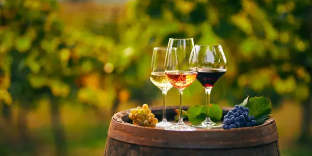 Photo of Three glasses of white, rose and red wine on a wooden barrel