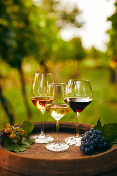 포도원의 오래된 나무 통에 흰색, 분홍색, 레드 와인 잔 - wine bottle bottle wine red 뉴스 사진 이미지