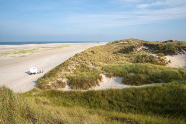 istock Amrum, North Frisia, Germany 1301018868