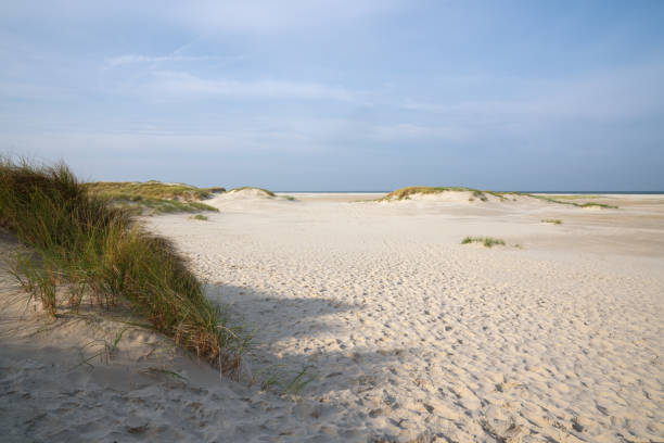 istock Amrum, North Frisia, Germany 1301018911
