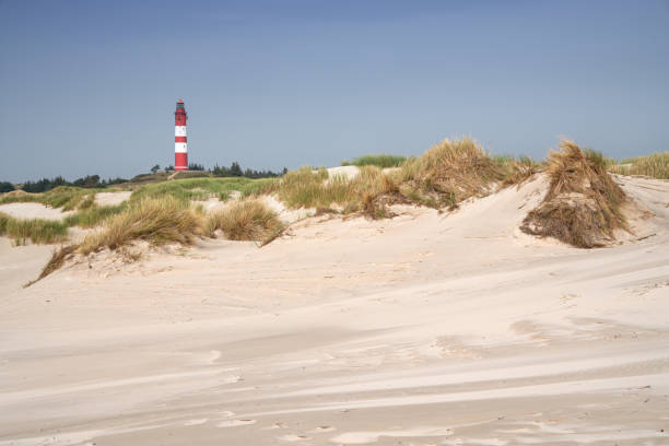 istock Dunes of Amrum with the lighthouse, Germany 1301018982