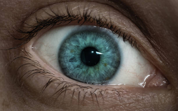istock Woman eye close-up. 1301019277