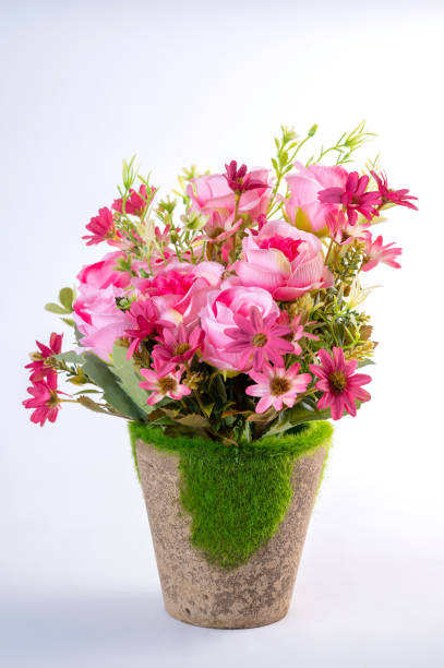 istock pink and white flowers in vase on white background 1301021221
