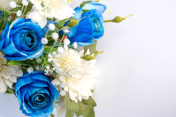 istock pink and white flowers in vase on white background 1301021239