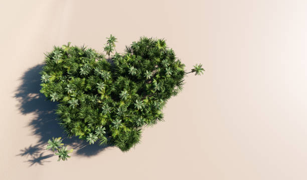 istock Green tropical trees forming heart shape on the beach. 1301021304