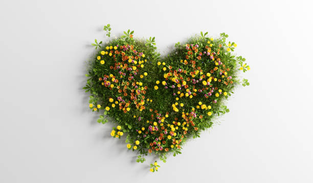istock Green grass with spring summer flowers in heart shape 1301021316