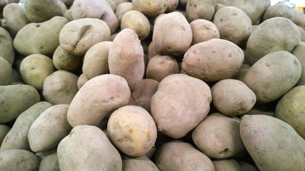 pile of potatoes on supermarket shelves for sale. vegetables background. fresh food. healthy eating and lifestyle. local farmers market. retail industry. grocery shopping. stall. natural products. - for sale industry farmers market market stall imagens e fotografias de stock