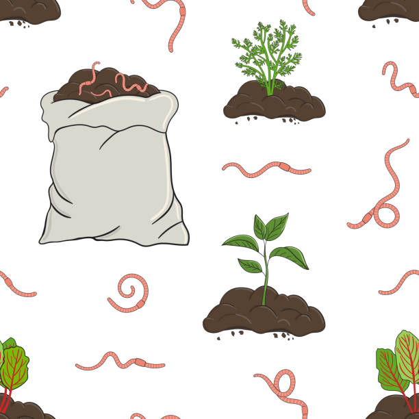 illustrations, cliparts, dessins animés et icônes de modèle sans couture avec des vers, un tas de compost et un sac. la carotte et la betterave poussent dans le sol. concept de compostage de jardin. vers pour le vermicompostage. agriculture et agriculture - dirt backgrounds humus soil textured