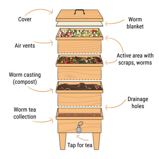 Infographic Of Vermicomposting Components Of Vermicomposter