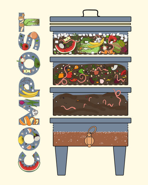 Download Compost, Vermicomposter, Food Waste. Royalty-Free Vector ...