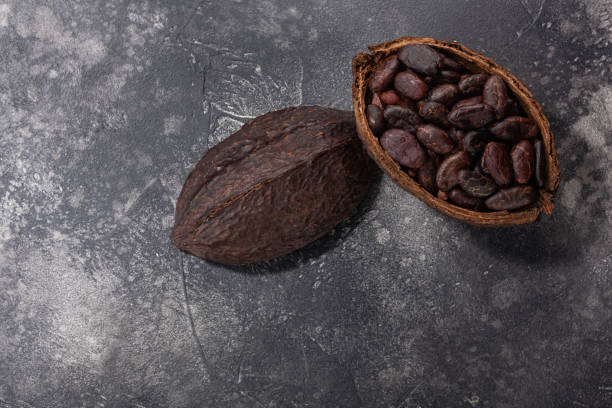 istock Split fermented cocoa pod with shelled cacao beans atop dark grey backdrop,  top view 1301023008