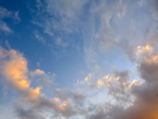 istock Landscape in Tropical Volcanic Canary Islands Spain 1301025481