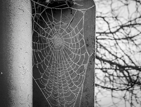 Frozen cobwebs on a metal post.