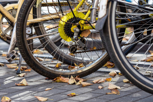 istock Close up row of bicycle wheels parking on the sidewalk 1301032371