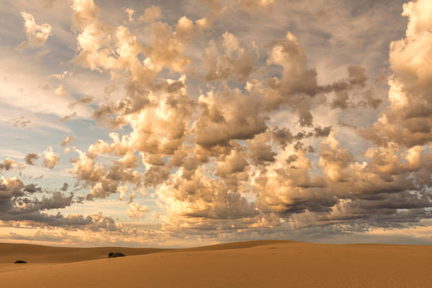 istock Dry arid desert sand dunes environment with dramatic sky at sunset 1301032804
