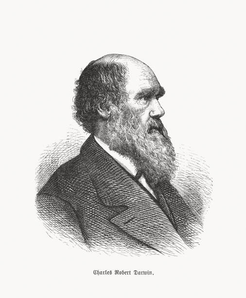 Charles Darwin (1809-1882), British natural scientist, wood engraving, published in 1893 Charles Robert Darwin (1809 - 1882) - English naturalist, geologist and biologist, best known for his contributions to the science of evolution. Wood engraving, published in 1893. charles darwin naturalist stock illustrations