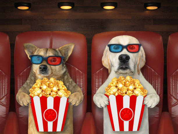 istock Dogs in 3d glasses watching movie 1301033201