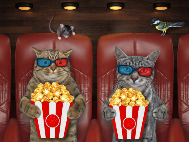 istock Cats in 3d glasses watching movie 1301033208