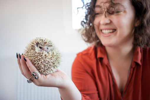 Woman holding her pet hedgehog