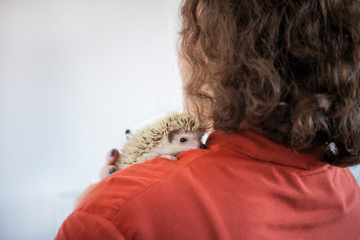 Woman holding her pet hedgehog