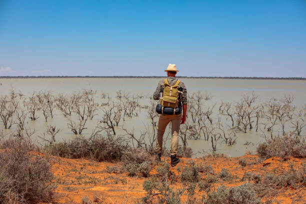 istock Man overlooking dead trees in lake Menindee in a sunny day, outback Australia 1301034752