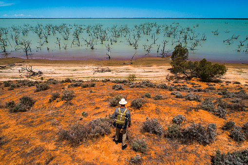 Man overlooking dead trees in lake Menindee in a sunny day, outback Australia