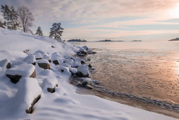 costa ghiacciata sull'acqua nel lago ladoga all'alba con neve fresca al tramonto invernale - pine sunset night sunlight foto e immagini stock