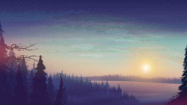 ilustrações de stock, clip art, desenhos animados e ícones de landscape with large lake and pine forest on horizon. sunset in forest with starry sky - pine sunset night sunlight