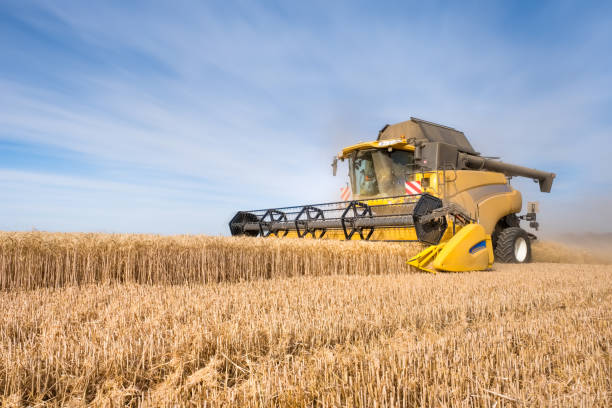 istock A combine harvester during wheat harvests 1301035980